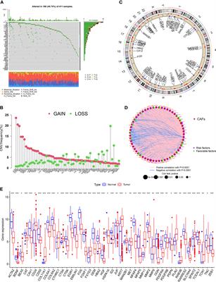 Development and validation of cancer-associated fibroblasts-related gene landscape in prognosis and immune microenvironment of bladder cancer